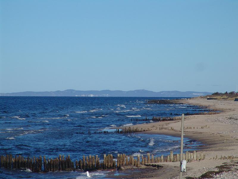 dsc07087.jpg