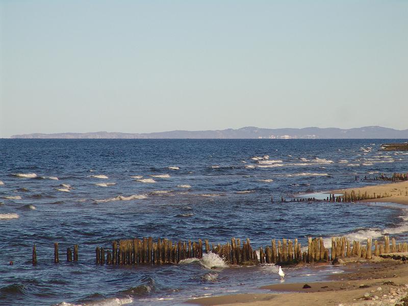 dsc07088.jpg