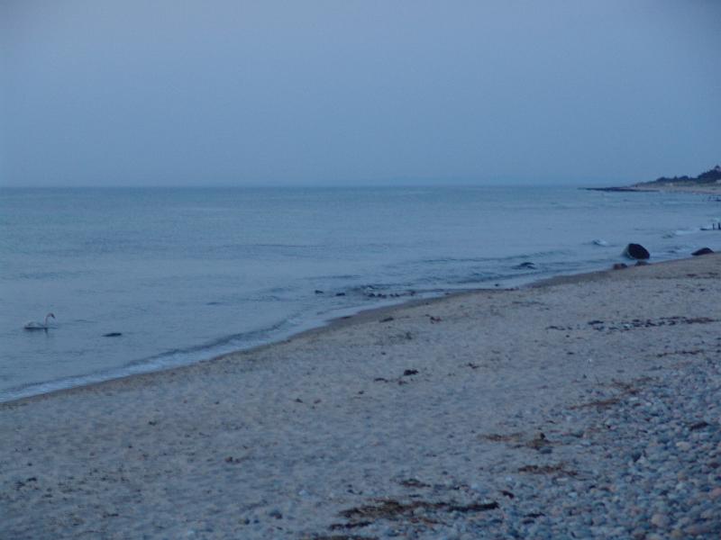 dsc07884.jpg