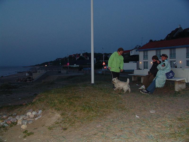 dsc07889.jpg